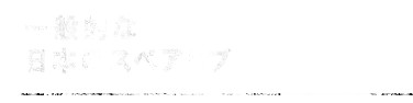 日本のスペアリブ