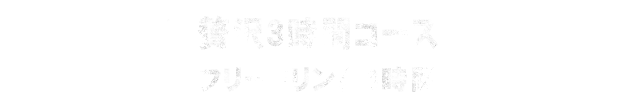 贅沢3時間コース