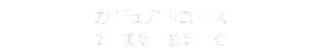 カジュアルコース